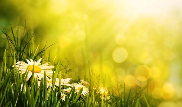 Morning Relaxing Music – Piano Music, Positive Music, Study Music