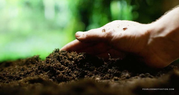 They Tried To Bury Me But They Didn’t Know I Was A Seed